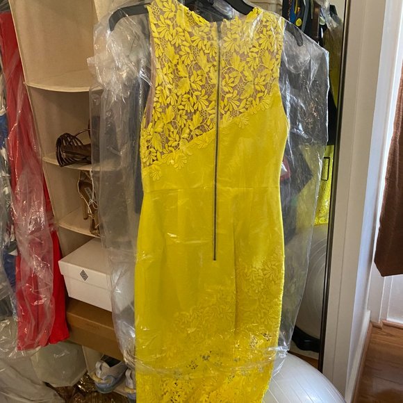 Alice and Olivia Margy Appliquéd Sheath Floral Lace Dress Yellow - Picture 7 of 9